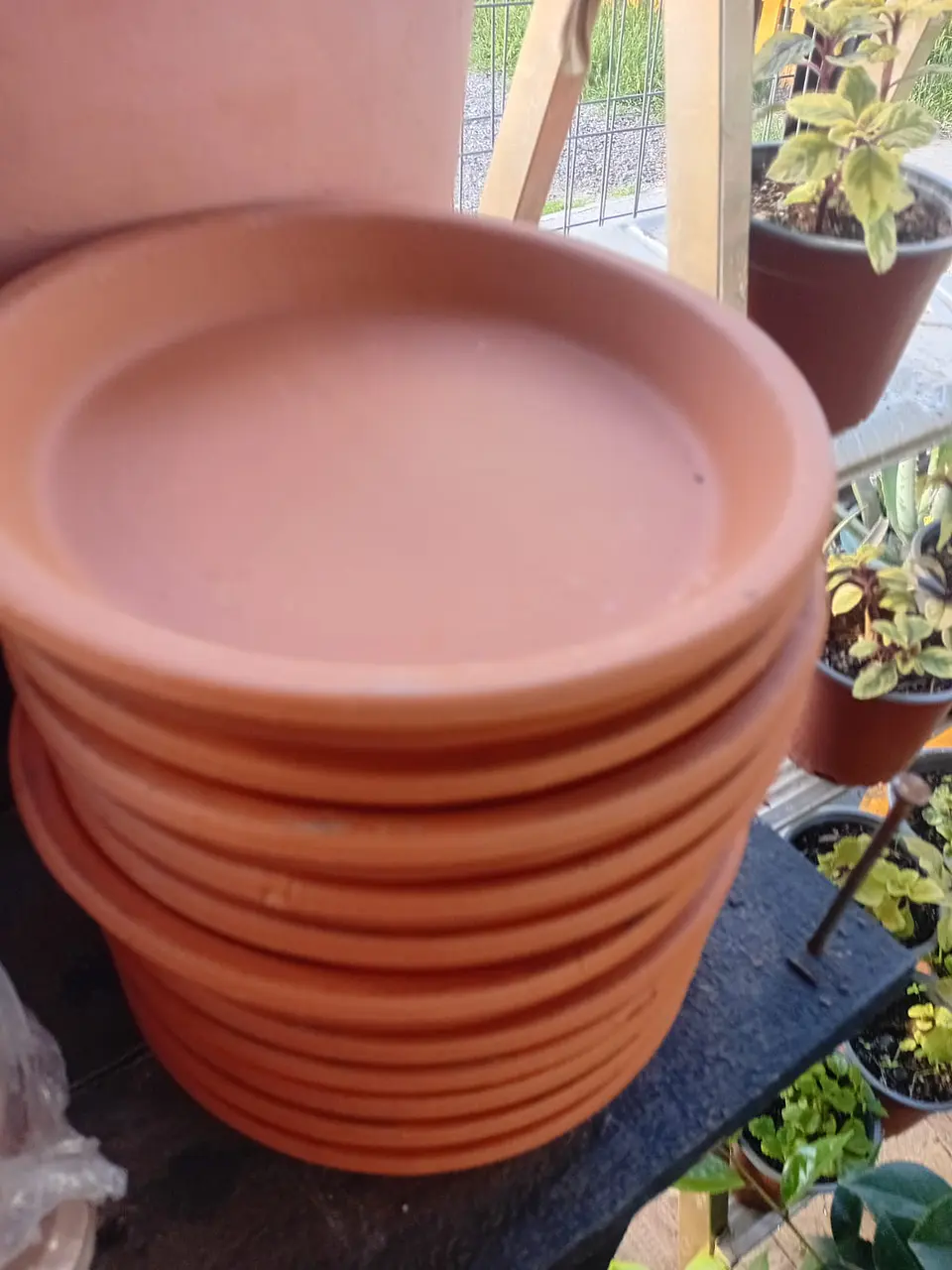 Plantas Rv - Plato terracota arcilla 17 cm diametro  1