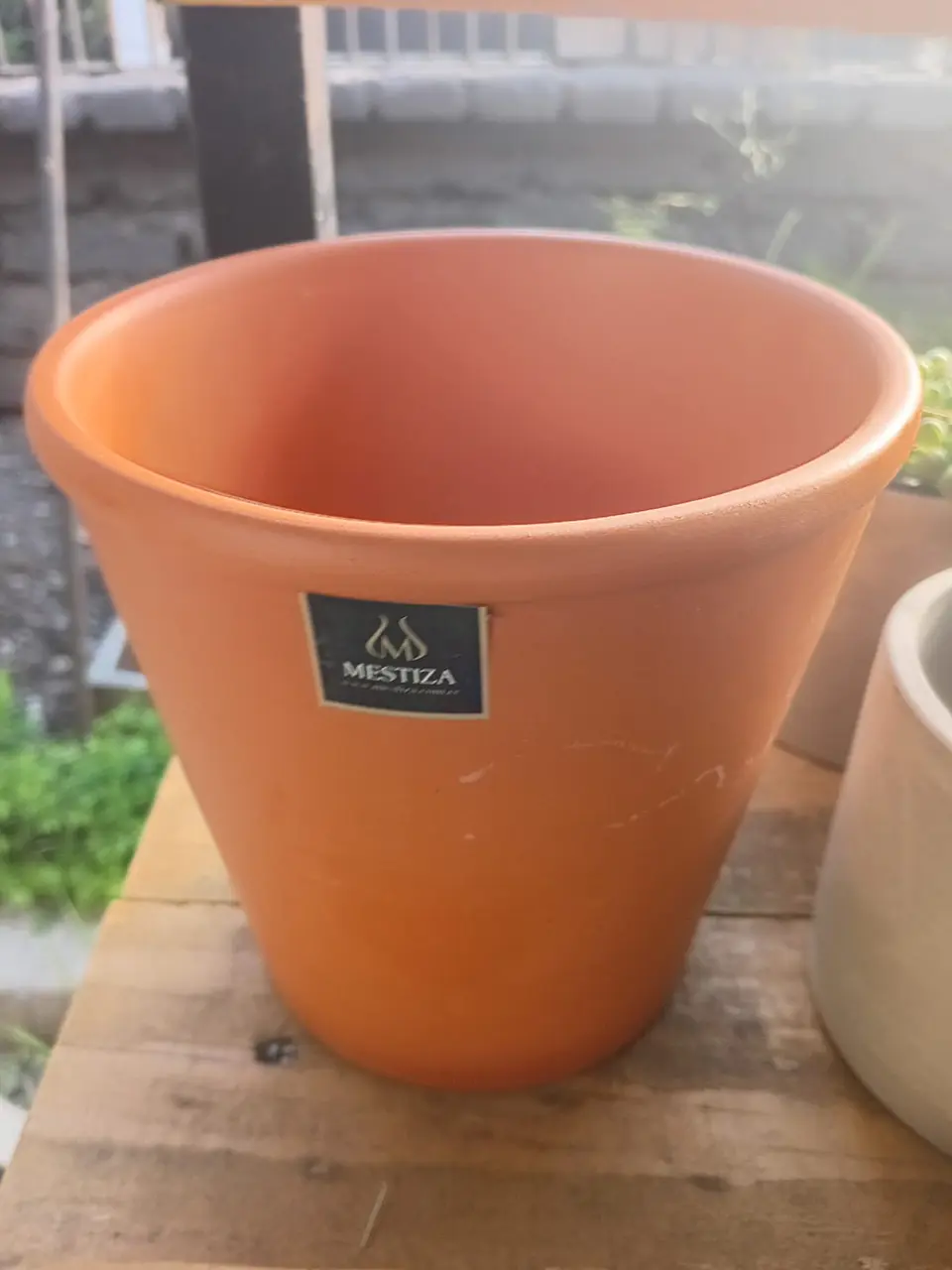 Plantas - Rv Maceta Zaia terracota 15 *15 cm  1