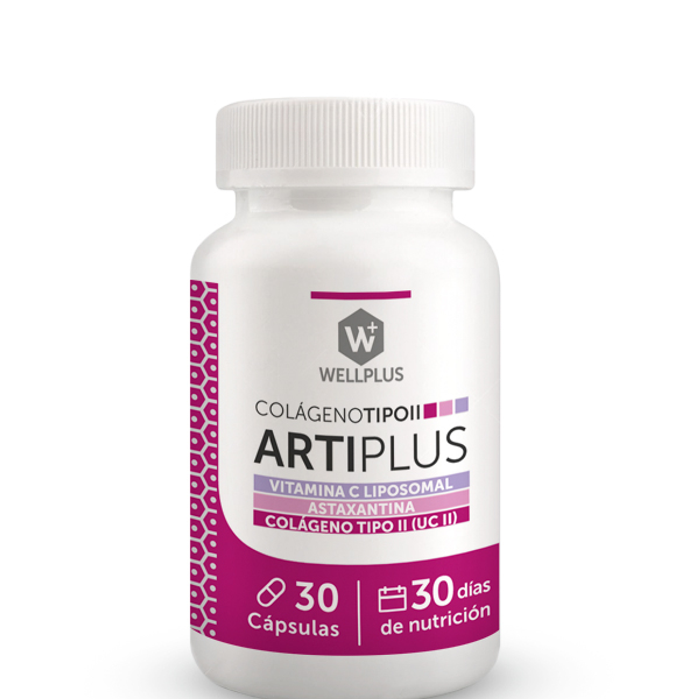 Arti plus 30 cápsulas  Wellplus 1