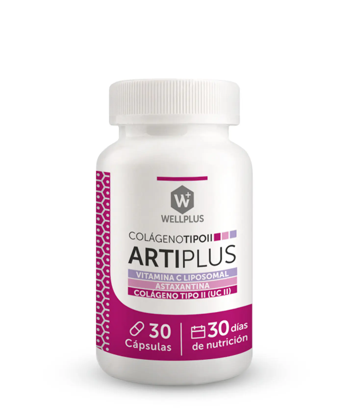 Arti plus 30 cápsulas  Wellplus 1
