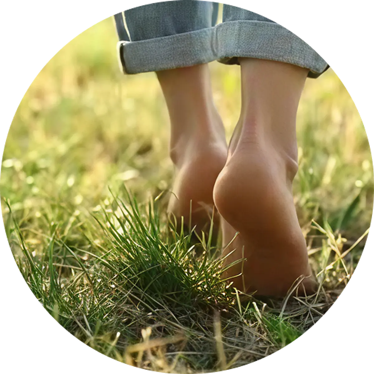 Antioxidantes y Grounding