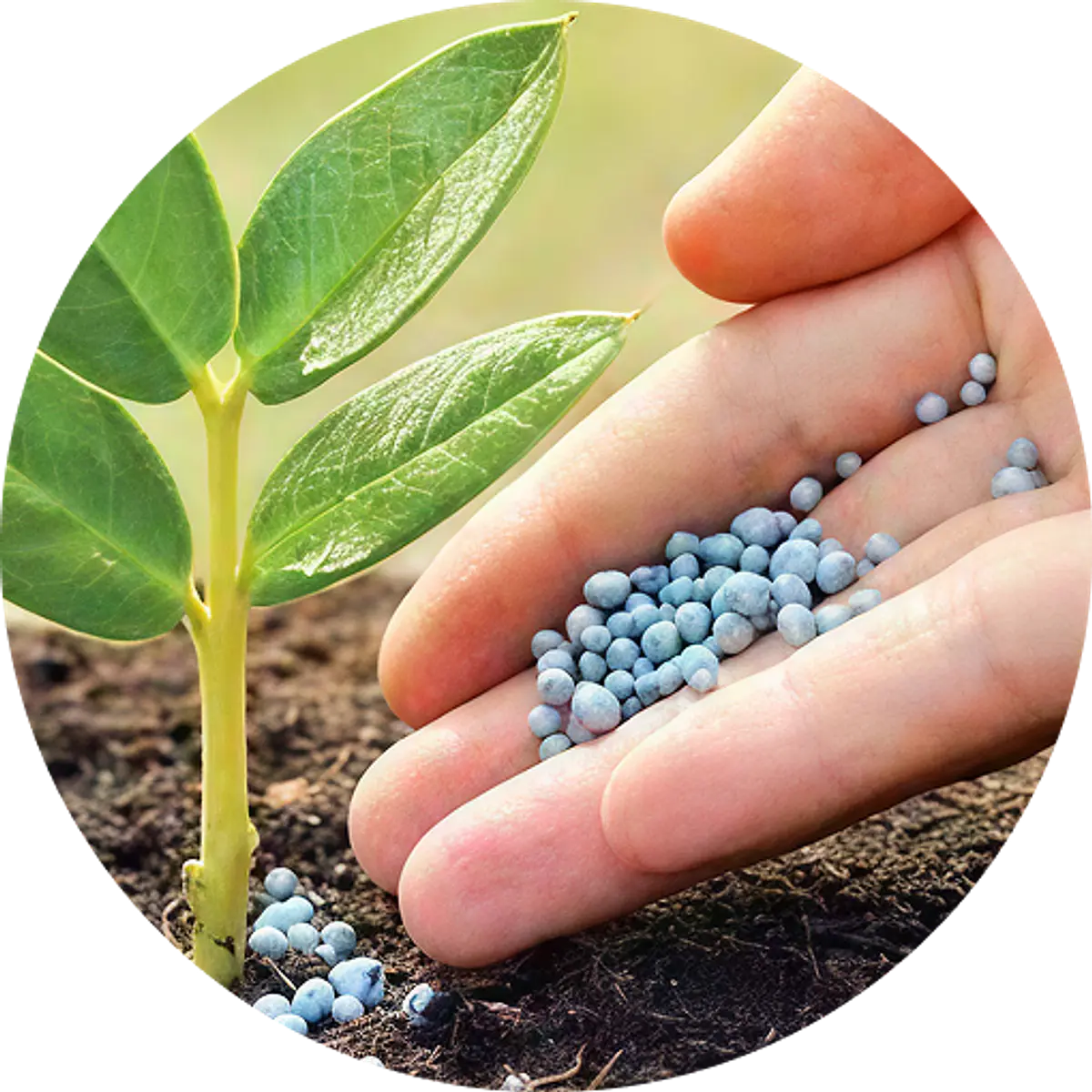 Fertilizantes