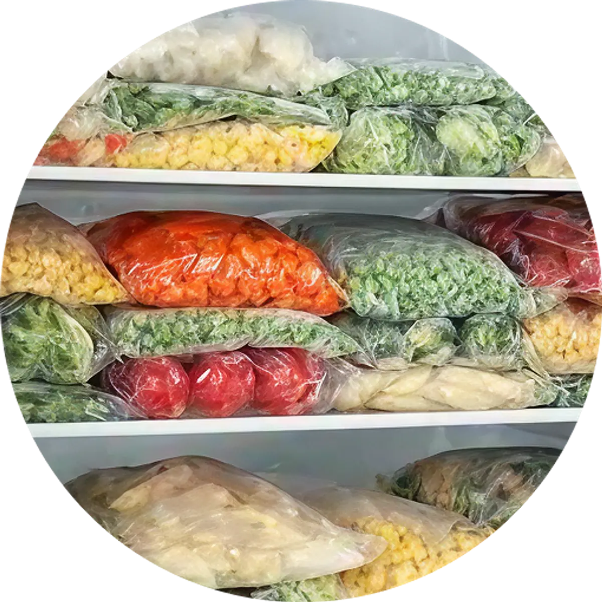 Productos Congelados