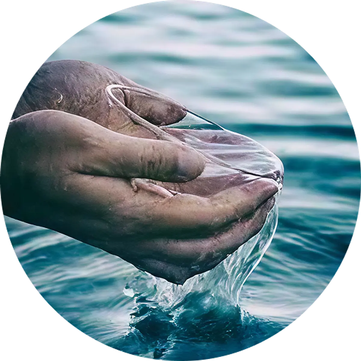 Agua de Mar 
