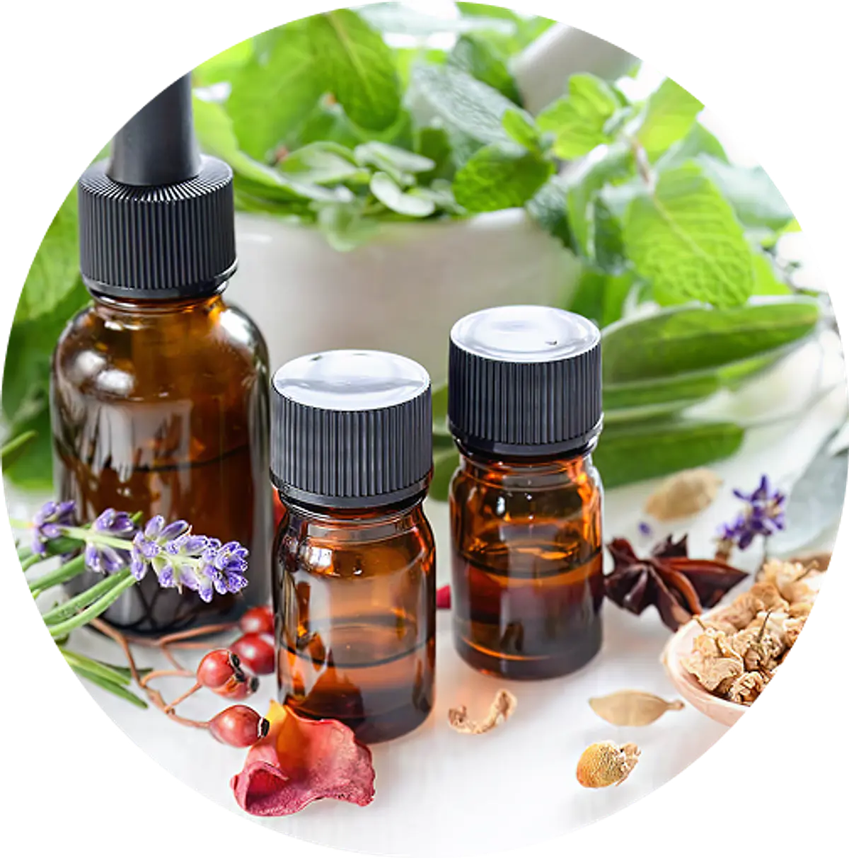 Fitoterapia