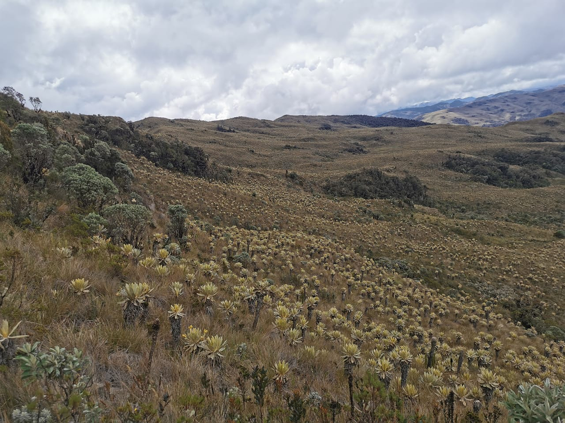 Expedition zum Páramo de Chilí