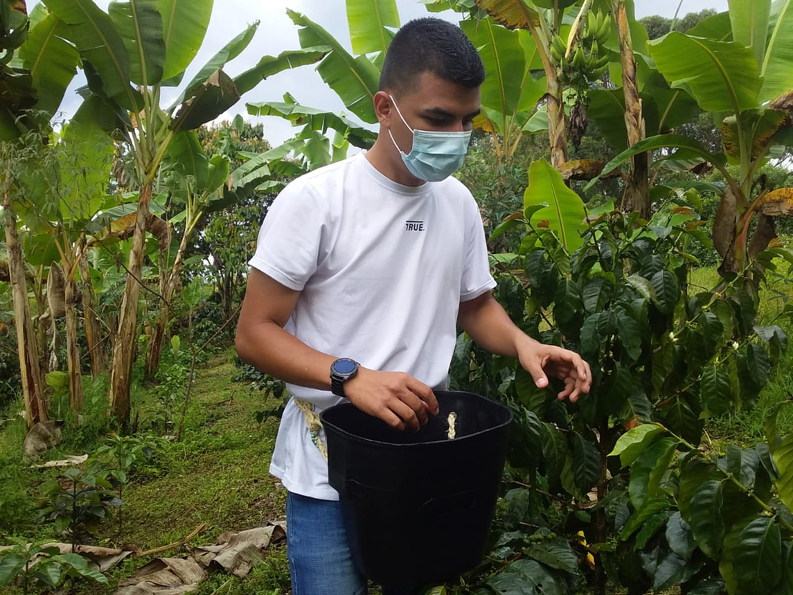 Coffee Tour At Manamaría Farm