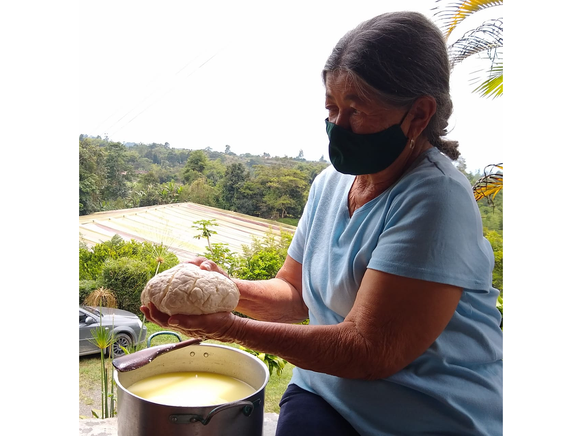 Coffee Tour At Manamaría Farm