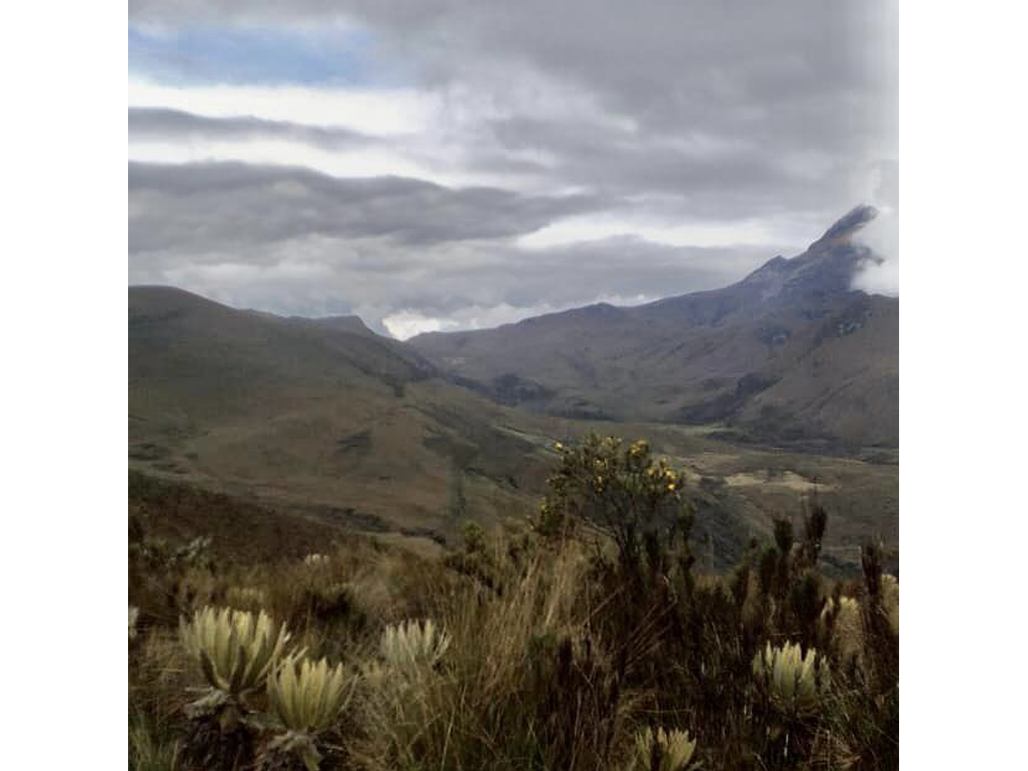 Expedition zum Nevado del Tolima (3 Tage, 2 Nächte)