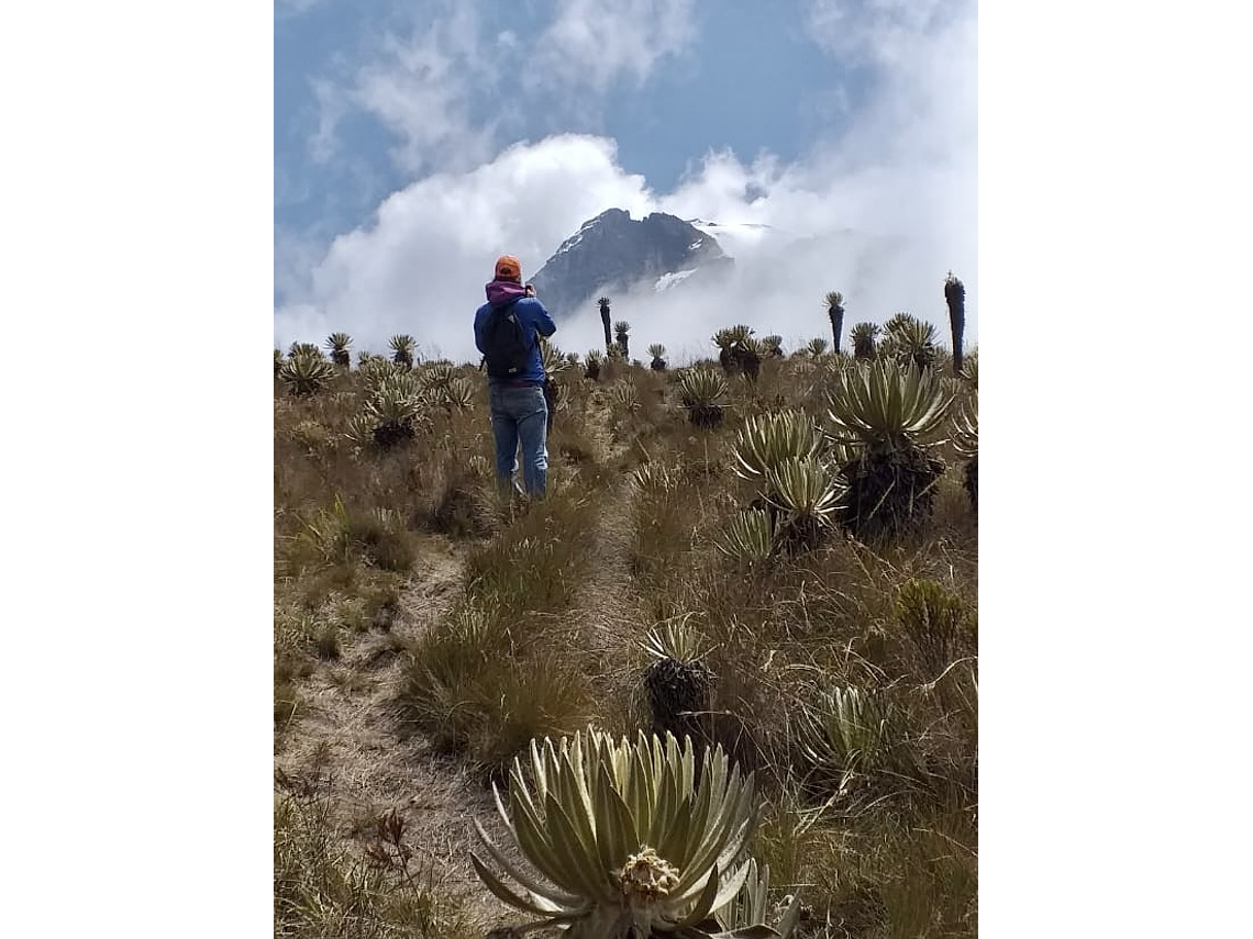 Expedición Al Nevado Del Tolima 3 días, 2 noches (Borde de Nieve)