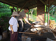 Experiential Tour of Artisanal Organic Panela Production