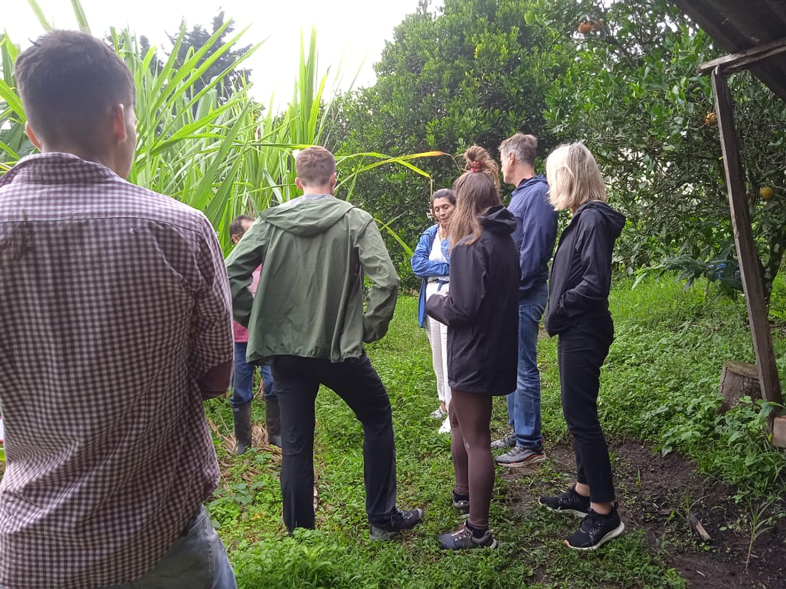 Experiential Tour of Artisanal Organic Panela Production