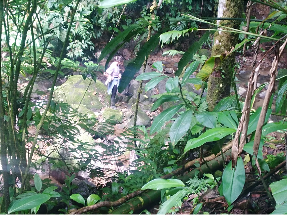 Caminata Ecológica a las Cascadas Gemelas