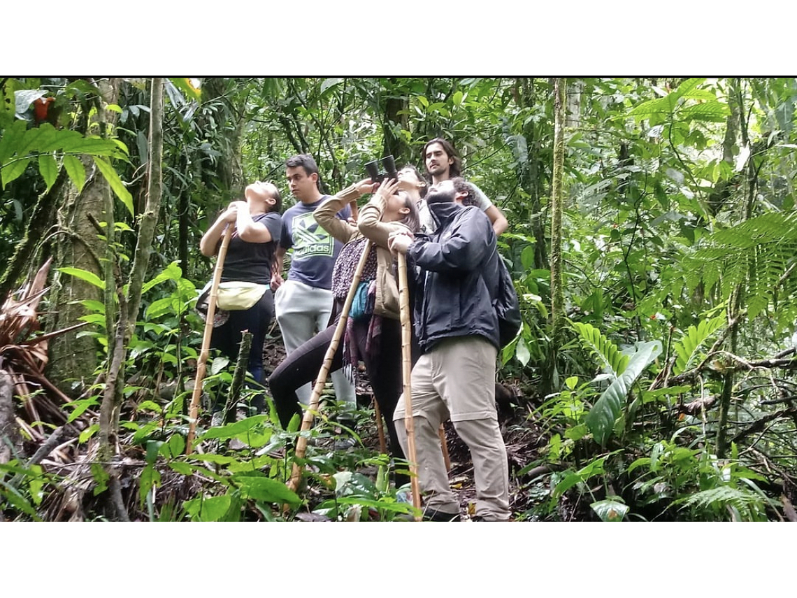Howler Monkey Tour in Barbas Nature Reserve - Bremen