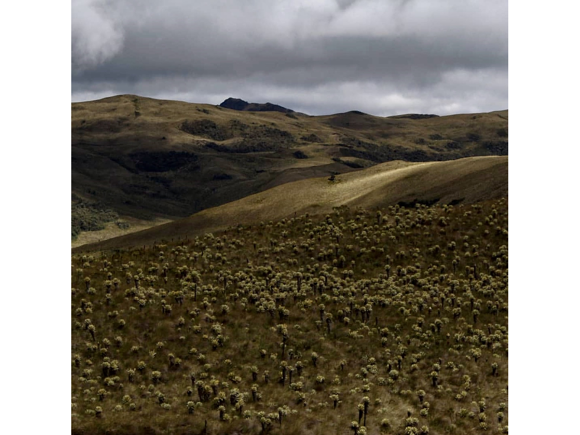Trekking in the Páramo de Chilí