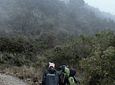 Trekking in the Páramo de Chilí