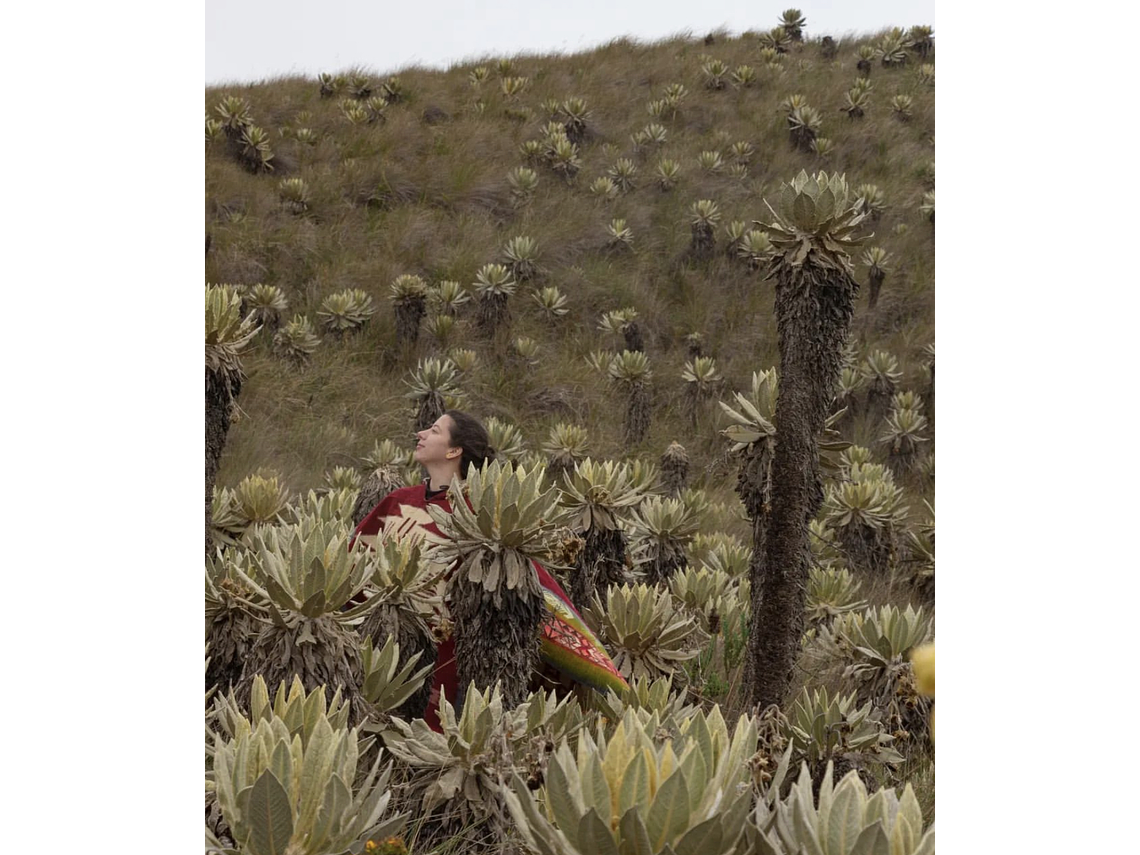 Trekking in the Páramo de Chilí