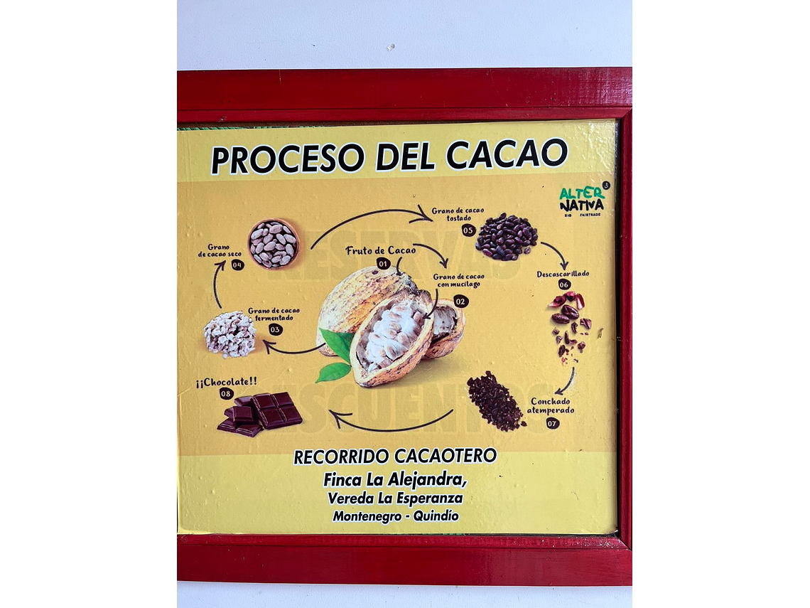 Your Experience With Chocolate (Cacao Tour)