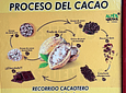 Tu Experiencia Con El Chocolate (Tour del Cacao)