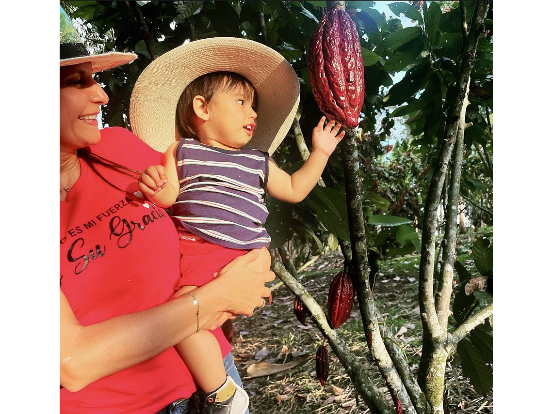 Tu Experiencia Con El Chocolate (Tour del Cacao)