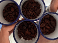 Tu Experiencia Con El Chocolate (Tour del Cacao)