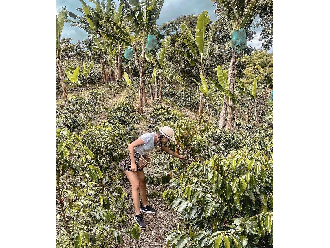 Experiential and Sensorial Coffee Tour