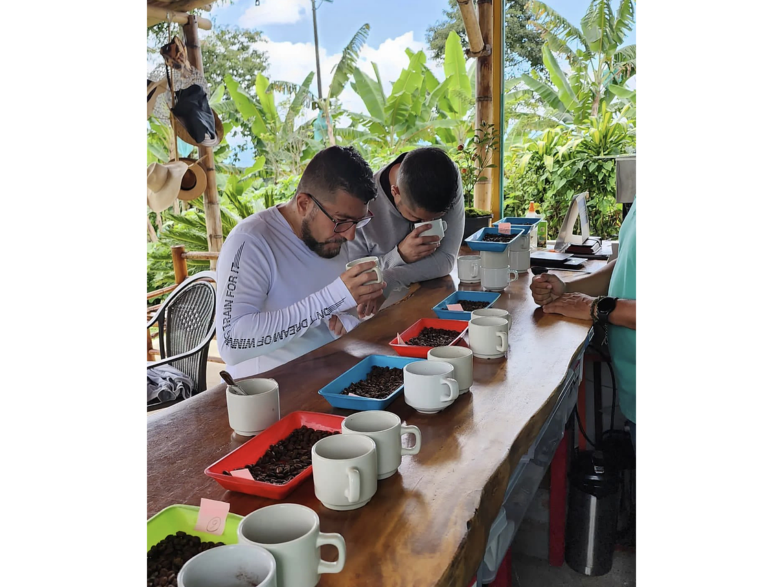 Experiential and Sensorial Coffee Tour