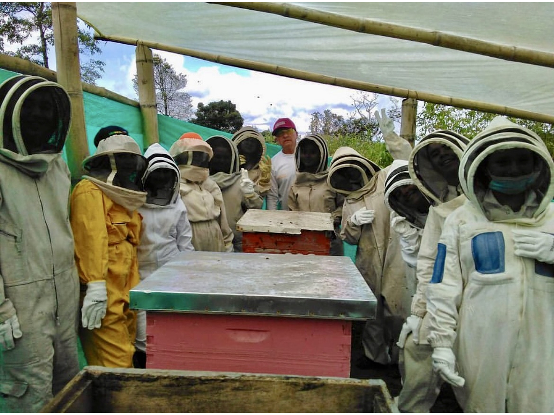 Tour En La Casa de las Abejas