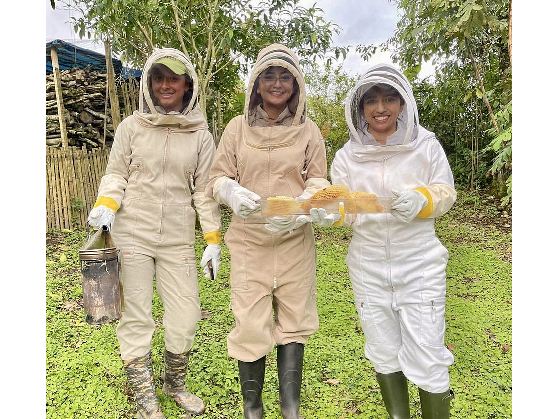 Tour En La Casa de las Abejas