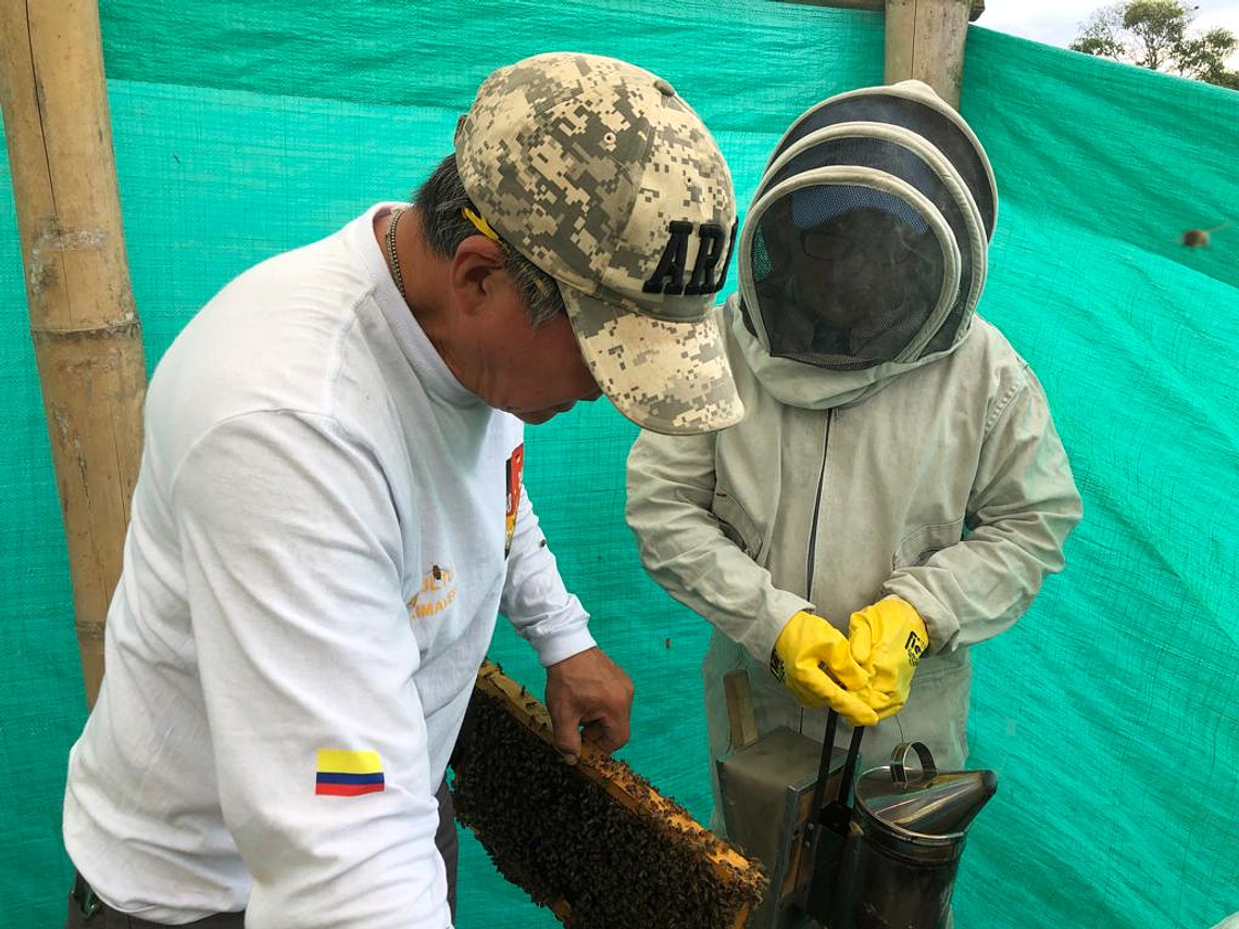 Tour En La Casa de las Abejas