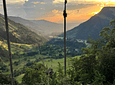 Tour Guiado Corto En El Valle de Cocora en Salento (Miradores)