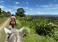 Ecological Horseback Riding in the Corregimiento of La India de Filandia