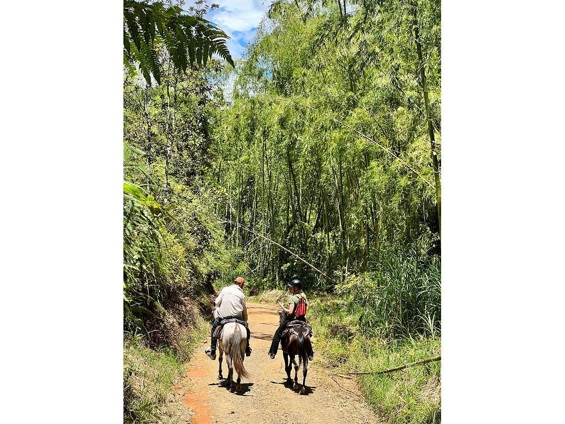 Cabalgata Ecológica en el Corregimiento de La India de Filandia