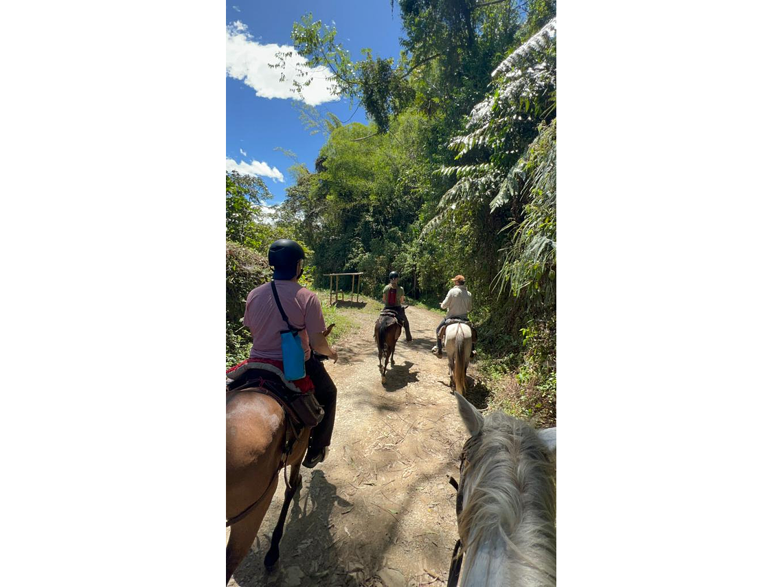 Ecological Horseback Riding in the Corregimiento of La India de Filandia
