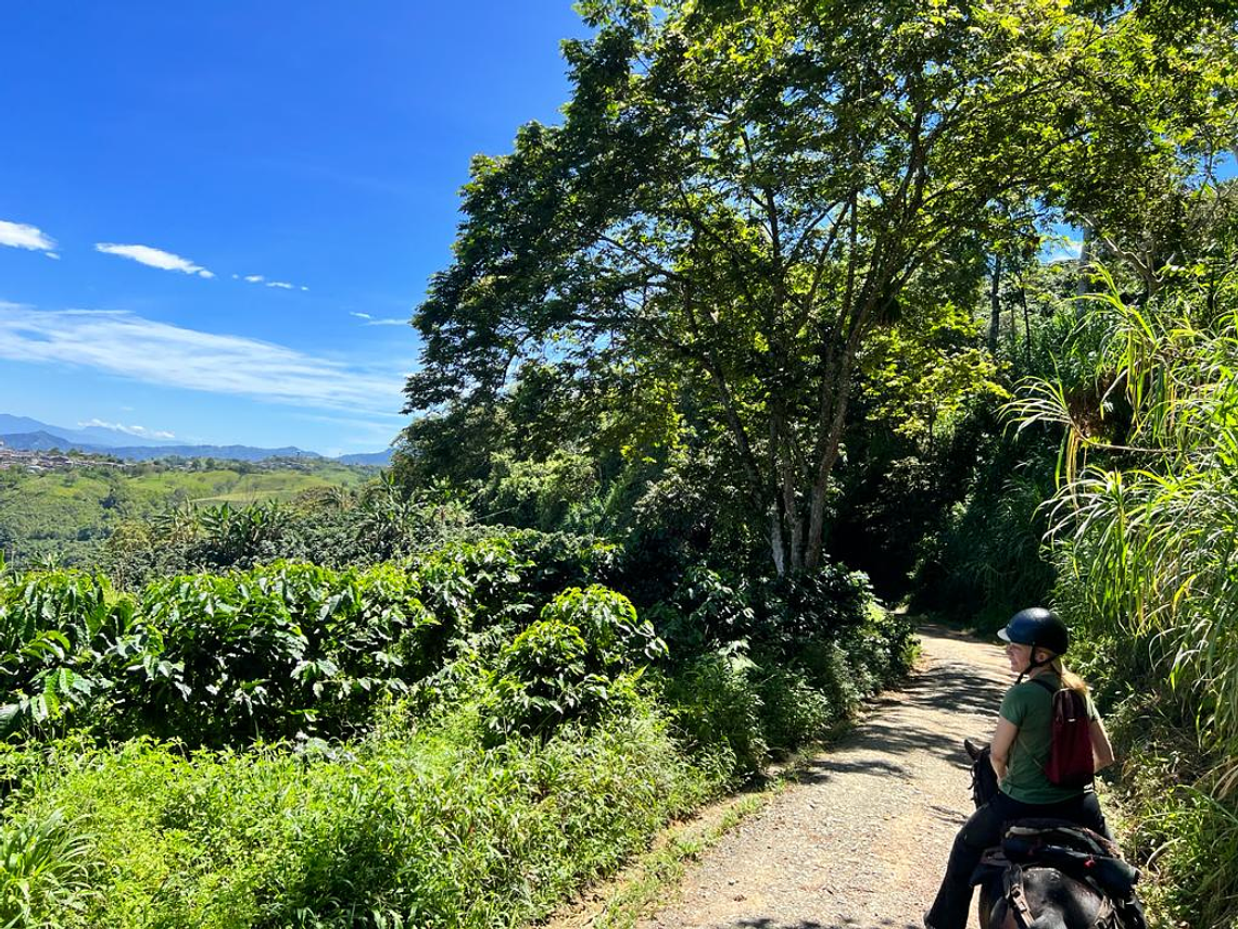 Ecological Horseback Riding in the Corregimiento of La India de Filandia