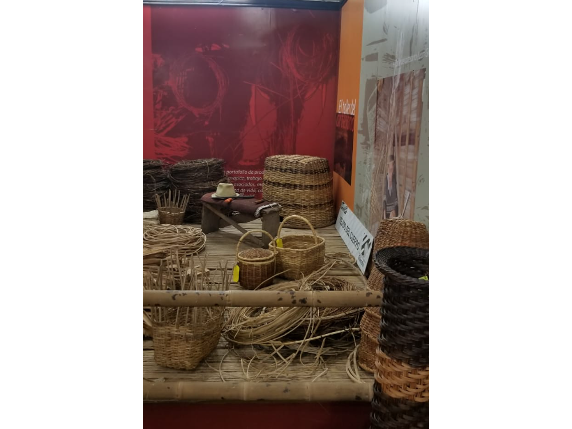 Basketry Workshop 