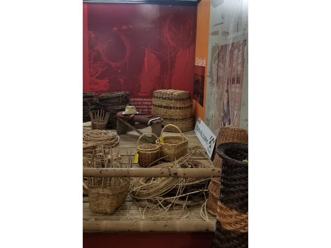 Experiential Basket Weaving Workshop 