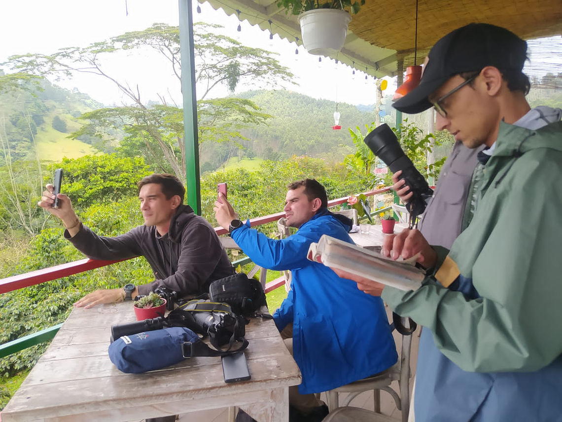 Bird Watching In Salento