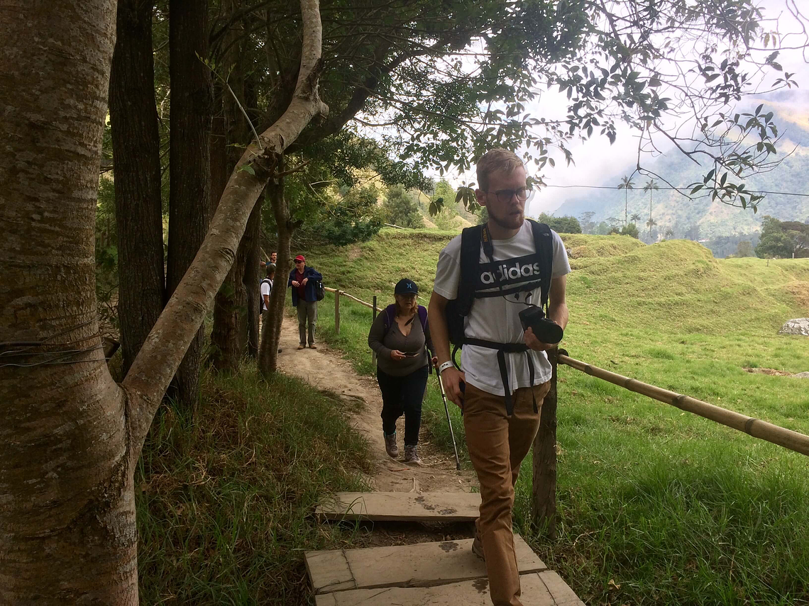 Tour Between Hummingbirds and Wax Palms (Long Cocora Valley Trek)