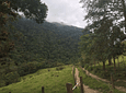 Tour Entre Colibries y Palmas de Cera (Trekking Largo Valle de Cocora)