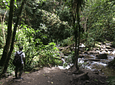 Tour Between Hummingbirds and Wax Palms (Long Cocora Valley Trek)