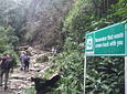 Tour Between Hummingbirds and Wax Palms (Long Cocora Valley Trek)