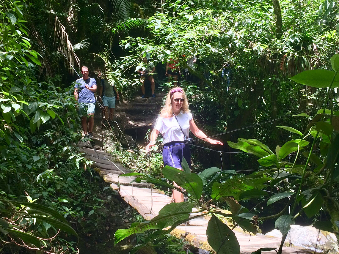 Tour Between Hummingbirds and Wax Palms (Long Cocora Valley Trek)