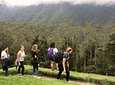 Tour Between Hummingbirds and Wax Palms (Long Cocora Valley Trek)