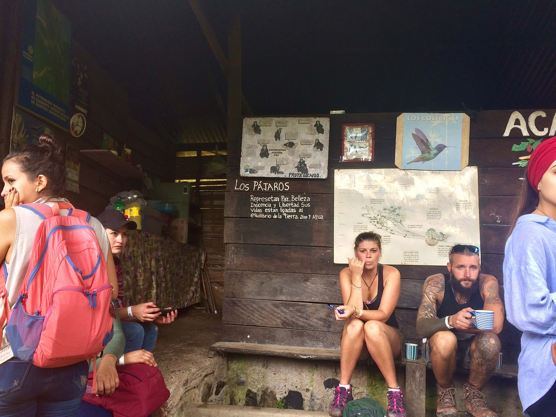 Tour Between Hummingbirds and Palmas de Cera (Guided Tour Valle de Cocora)