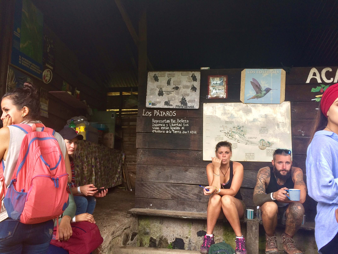 Tour Entre Colibries y Palmas de Cera (Trekking Largo Valle de Cocora)