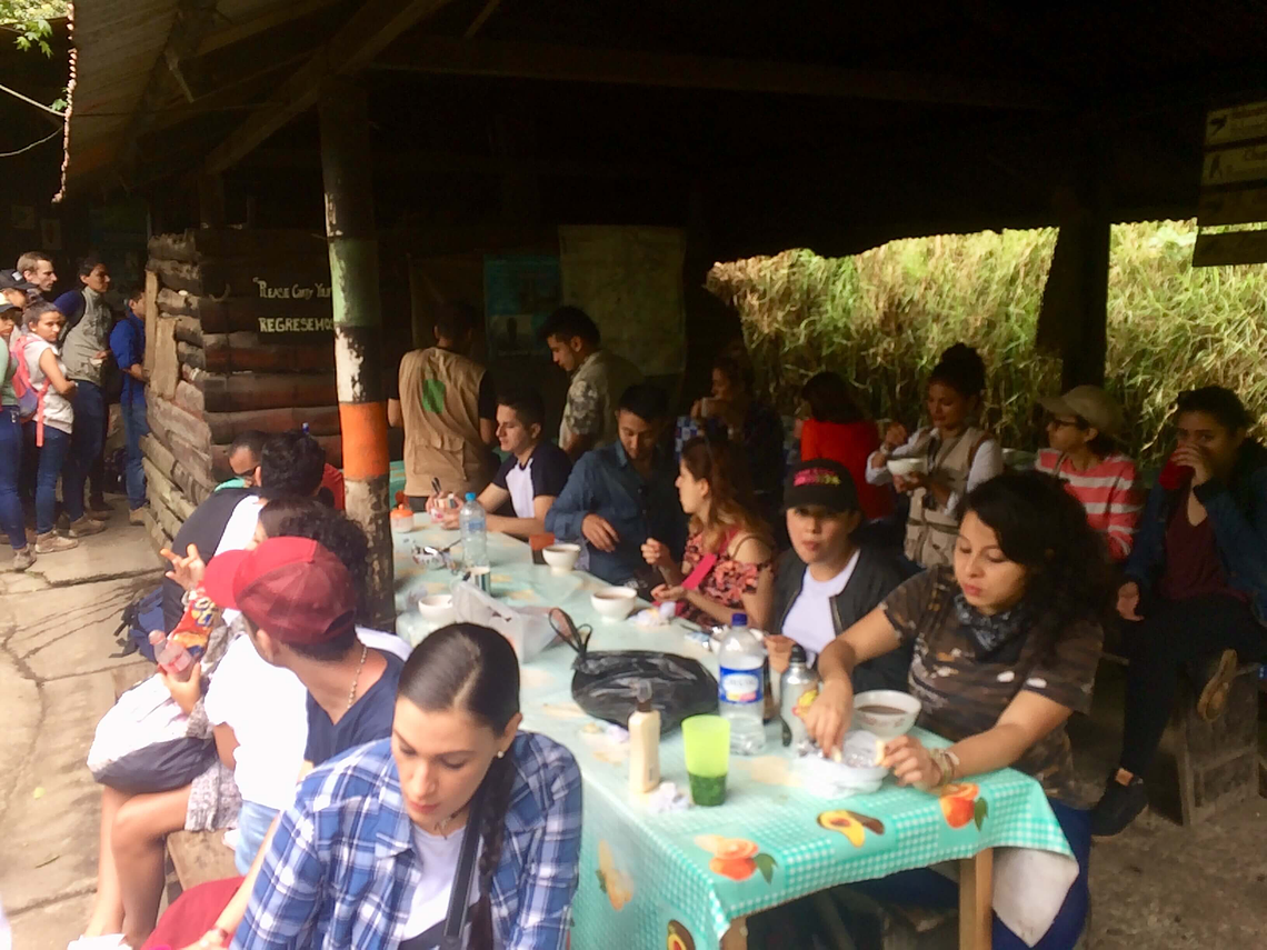 Tour Between Hummingbirds and Wax Palms (Long Cocora Valley Trek)