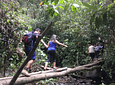 Tour Between Hummingbirds and Wax Palms (Long Cocora Valley Trek)