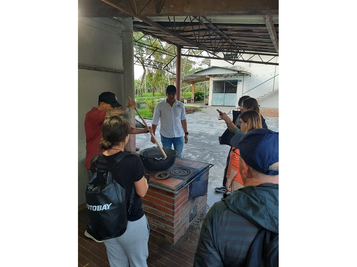 Cocoa Experience Among Quindian Coffee Farms