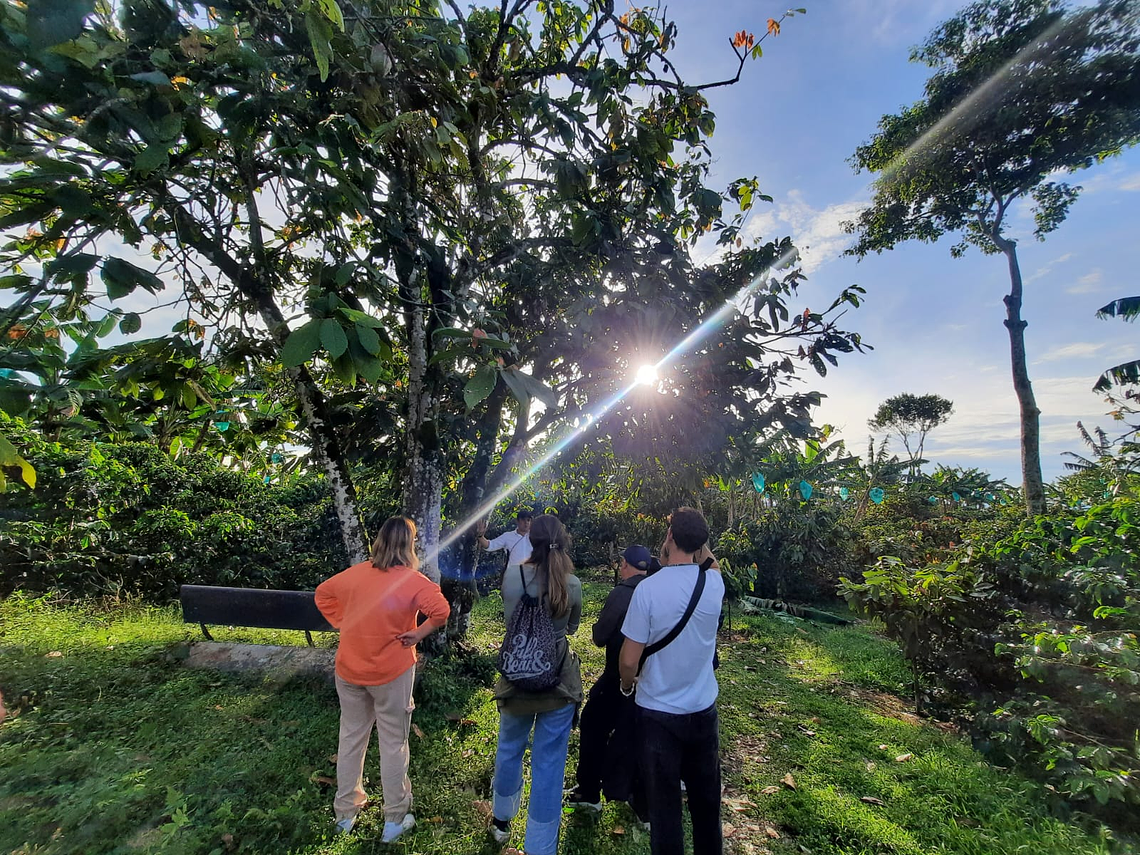 Cocoa Experience Among Quindian Coffee Farms